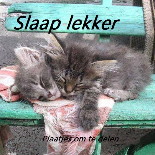 Kamer 3